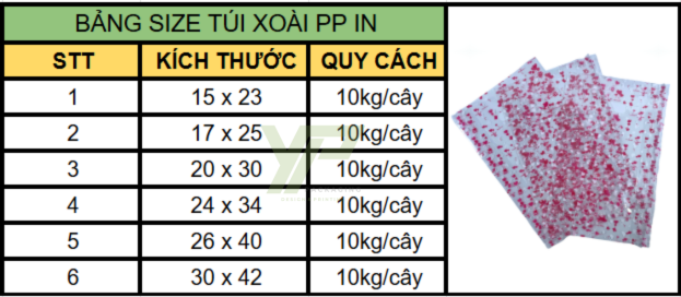 Bảng size túi xoài PP in phổ biến nhất