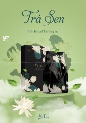 Bộ nhận diện thương hiệu Trà Sen Việt Nam Sen Tea