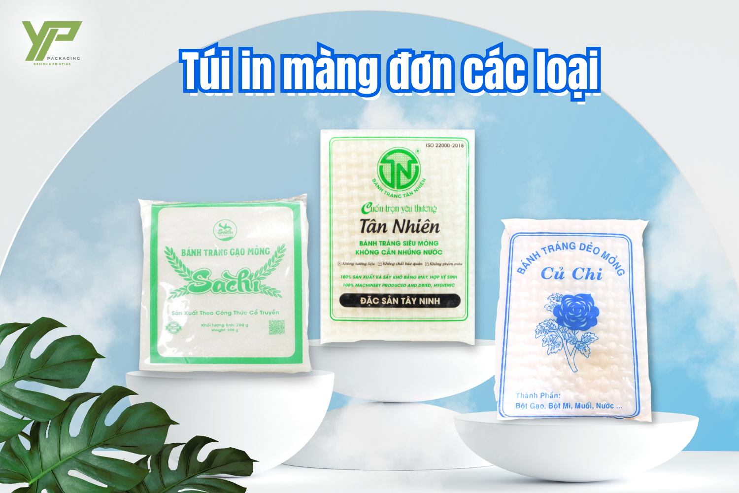 Bao bì bánh tráng - Túi màng đơn