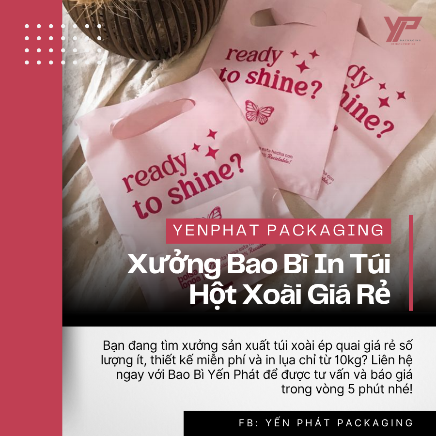 xuong-bao-bi-in-tui-hot-xoai-gia-re
