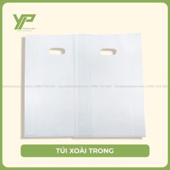 Túi xoài trong