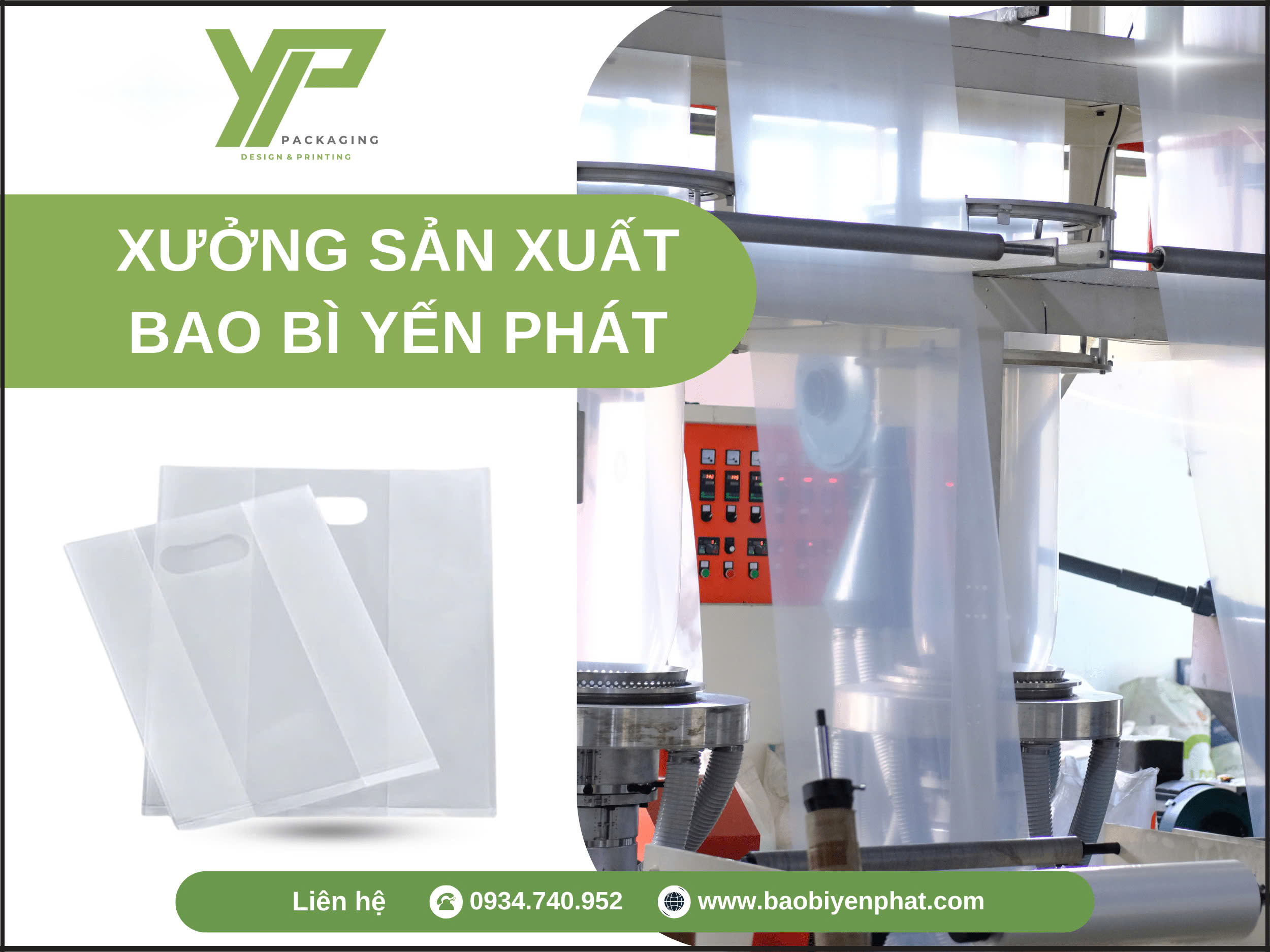 Túi xoài trong - Ảnh 9